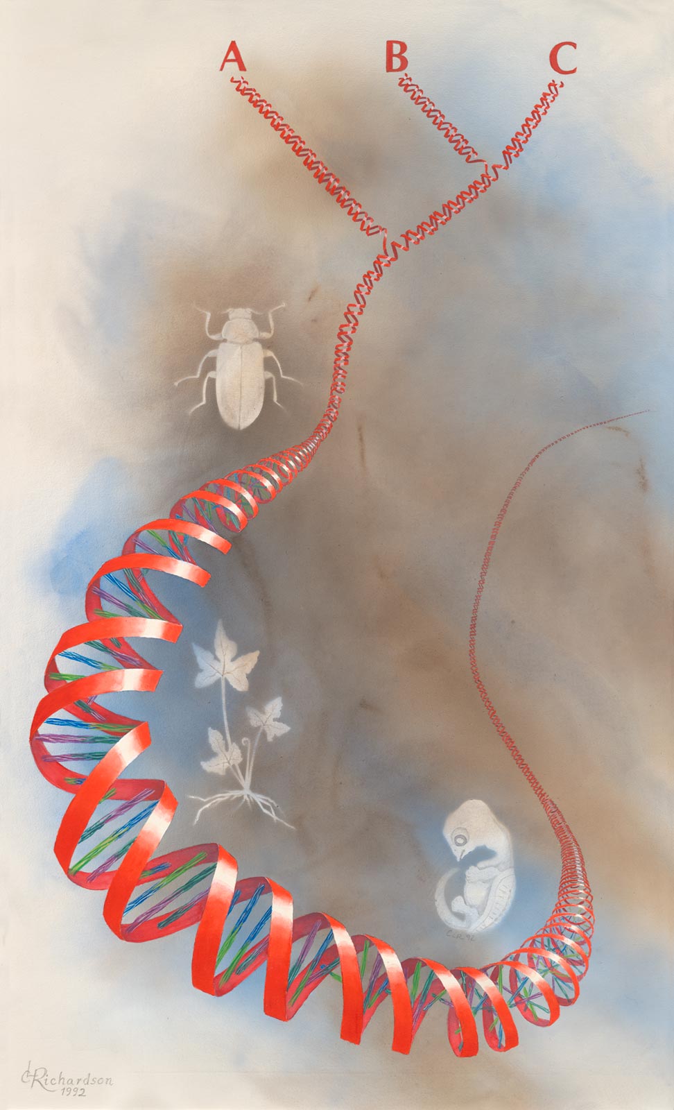 DNA ribbon illustration
